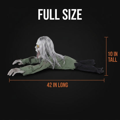 Crawling Zombie